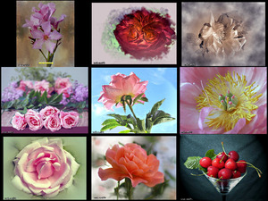 klicke hier, um die Datei herunterzuladen Las dos puntas Still life - Die beiden Enden - Stillleben