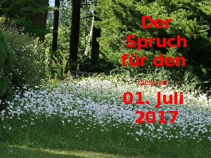 Der Spruch fuer 01.07.17