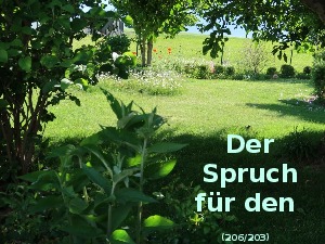 Der Spruch fuer 02.07.2017