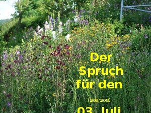klicke hier, um die Datei herunterzuladen Der Spruch fuer 03.07.2017