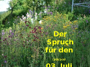 Der Spruch fuer 03.07.2017