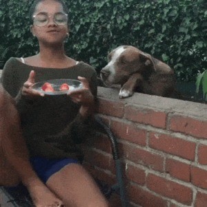 Sec dating seiten