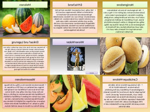 klicke hier, um die Datei herunterzuladen Melonen
