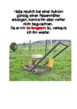Habe neulich bei einer Auktion...