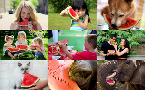 klicke hier, um die Datei herunterzuladen Love of Watermelon - Liebe zur Wassermelone