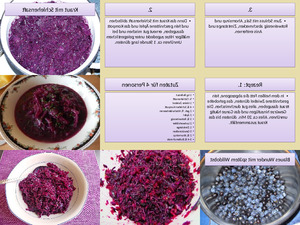 klicke hier, um die Datei herunterzuladen Kraut mit Schlehensaft