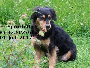 klicke hier, um die Datei herunterzuladen Der Spruch fuer 14.07.2017