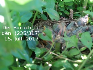 klicke hier, um die Datei herunterzuladen Der Spruch fuer 15.07.2017