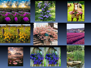 klicke hier, um die Datei herunterzuladen Beautyful Bildermix 2