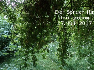 Der Spruch fuer 17.07.2017