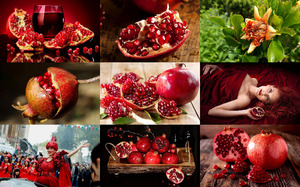 Pomegranate - Granatapfel
