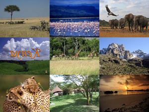 klicke hier, um die Datei herunterzuladen Sehr schöne Eindrücke aus KENYA