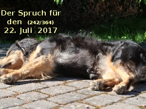 Der Spruch fuer 22.07.2017