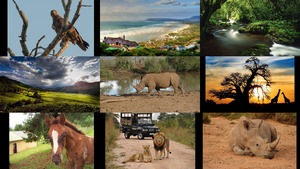 klicke hier, um die Datei herunterzuladen Südafrika
