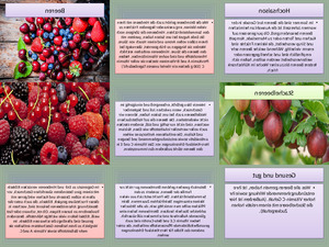klicke hier, um die Datei herunterzuladen Beeren