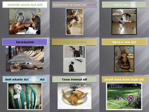 klicke hier, um die Datei herunterzuladen Katzen wie sie eben sind
