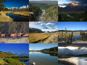 USA - Der Yellowstone und Grand Teton National Park1
