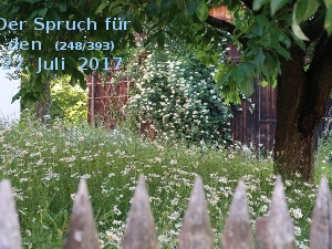 klicke hier, um die Datei herunterzuladen Der Spruch fuer 27.07.2017