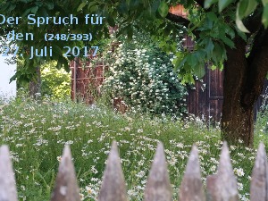 Der Spruch fuer 27.07.2017