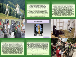 LIPIZZANERGESTT PIBER