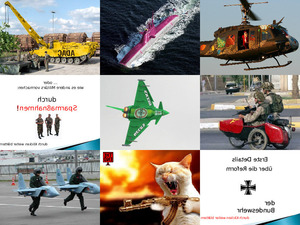 klicke hier, um die Datei herunterzuladen Reform der Armee
