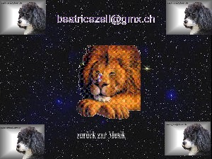 klicke hier, um die Datei herunterzuladen Roccos Musikwelt vom 08072017 2