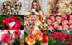klicke hier, um die Datei herunterzuladen Summer Roses - Sommer Rosen