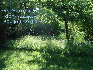 Der Spruch fuer 30.07.2017