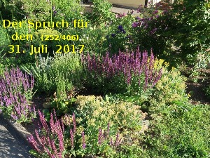 Der Spruch fuer 31.07.2017