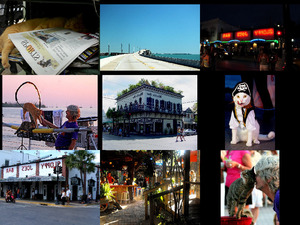 klicke hier, um die Datei herunterzuladen Key-west Florida