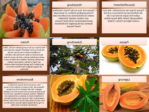 Papaya