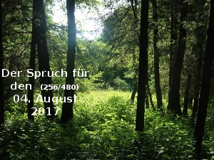 Der Spruch fuer 04.08.2017