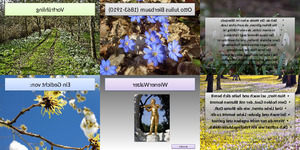 klicke hier, um die Datei herunterzuladen Vorfrühling ein Gedicht