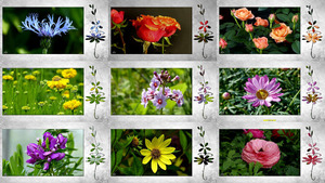 klicke hier, um die Datei herunterzuladen Bellezas naturales - Natürliche Schönheit - Blumen