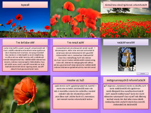 klicke hier, um die Datei herunterzuladen Klatschmohn