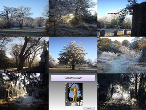 Zentralfriedhof im Winter schaurig schoen