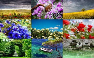 klicke hier, um die Datei herunterzuladen Summer Spirit - Sommer Stimmung