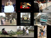 Amüsante Bilder