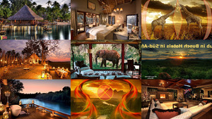Urlaub in Busch Hotels in Sd - Afrika