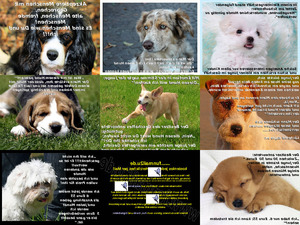 klicke hier, um die Datei herunterzuladen fuer Hunde-Freunde