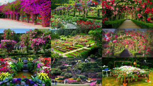 klicke hier, um die Datei herunterzuladen Wunderschoene Garten.Erika