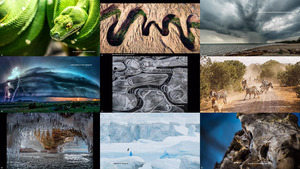 klicke hier, um die Datei herunterzuladen 2017 It's Amazing Out There Photo Contest -