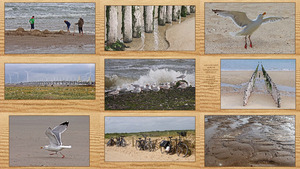klicke hier, um die Datei herunterzuladen Zeeland - Die Kueste