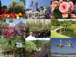 klicke hier, um die Datei herunterzuladen Ashikaga Japan, Blumenpark
