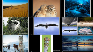 klicke hier, um die Datei herunterzuladen 2015 It s Amazing Out There Photo Contest Winners Finalists