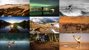klicke hier, um die Datei herunterzuladen Adventurous Dogs Exploring the World- Abenteuerlustige Hunde