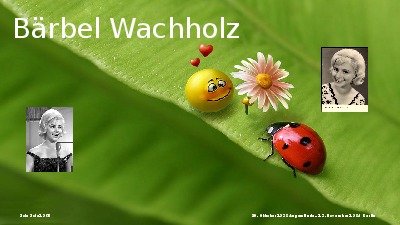 klicke hier, um die Datei herunterzuladen Jukebox - Baerbel Wachholz 001