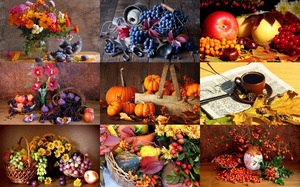 Autumn Still Life 4 - Herbst Stilleben 4