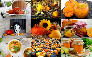 klicke hier, um die Datei herunterzuladen Pumpkin Medley - Kürbis Medley