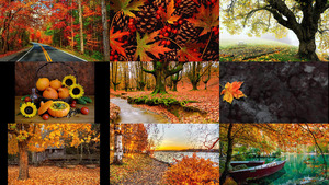 klicke hier, um die Datei herunterzuladen Herbst 19